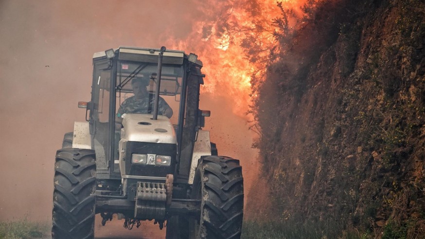 Más de un centenar de incendios forestales afectan a Asturias y el fuego llega a Oviedo
