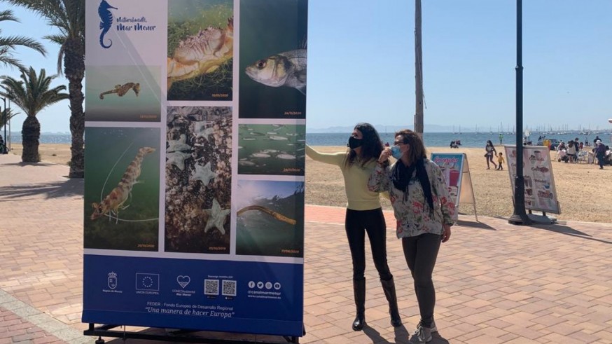 Fotografías sobre la fauna del Mar Menor muestran a los visitantes la riqueza natural del ecosistema