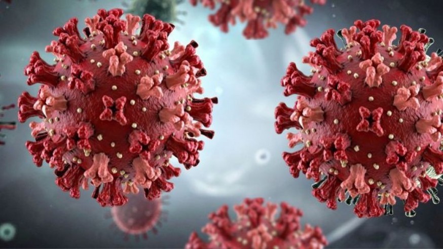 Una cita con Sherlock Health. El reto de gestionar virus que circulan en la naturaleza