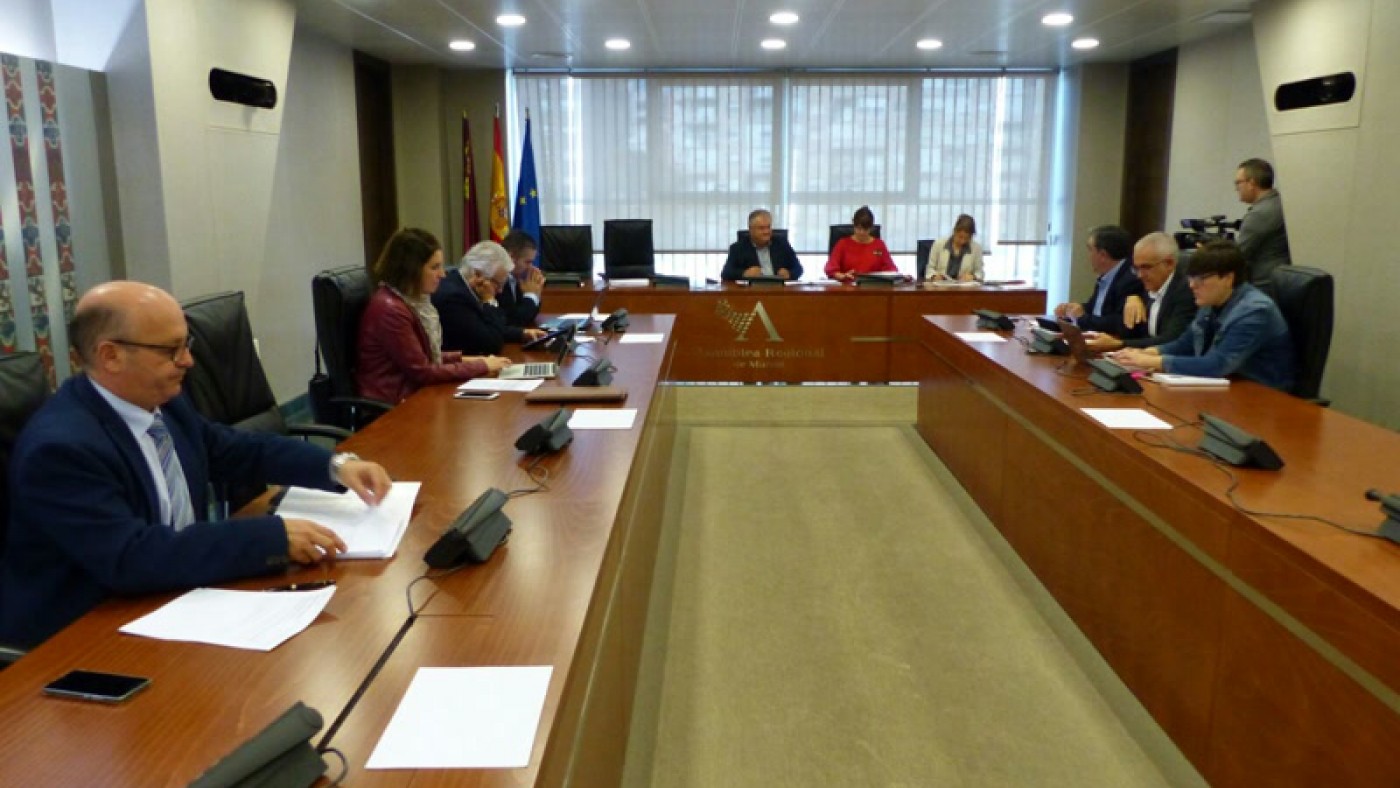 Reunión comisión de Política Territorial de la Asamblea