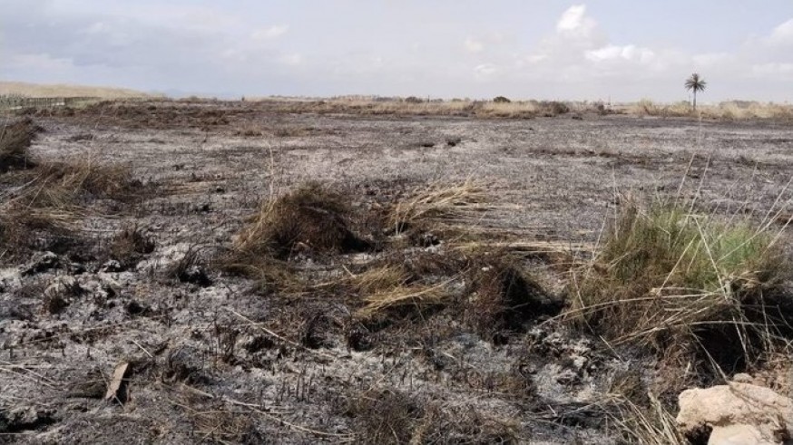 El fuego ya extinguido del paraje de La Hita en San Javier arrasa una zona ZEPA