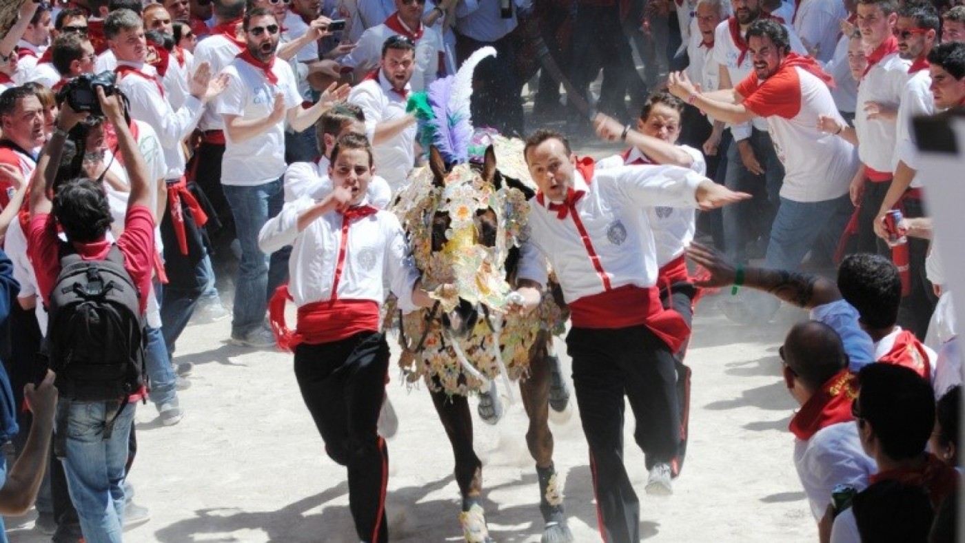 DIRECTO | Sigue en directo la carrera de los Caballos del Vino 2025