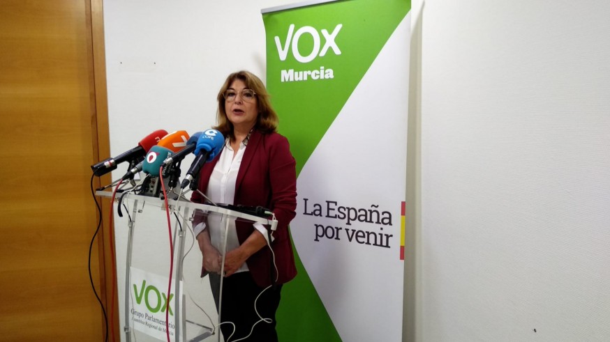 Mabel Campuzano durante su comparecencia