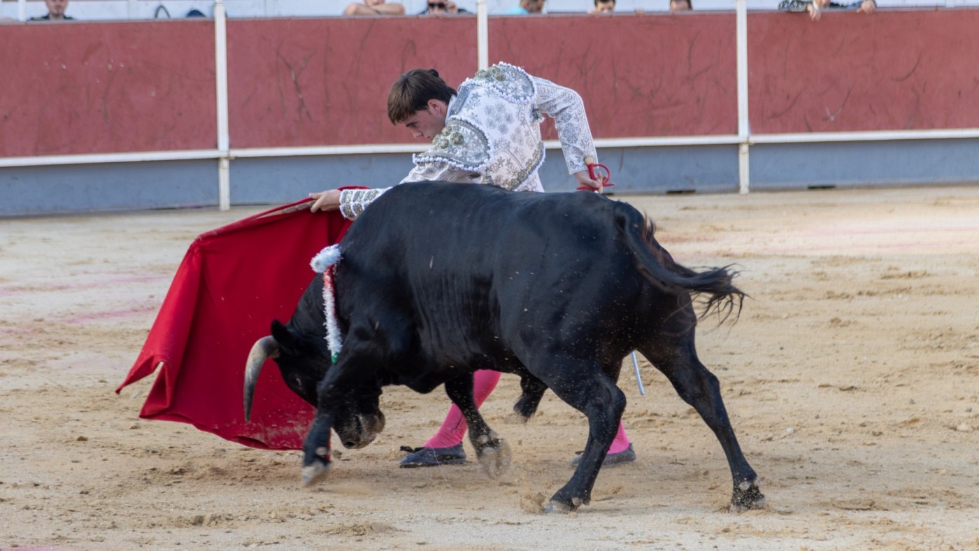 Javier Zulueta, Iván Rejas y Pedro Aparicio pasan a la final de la 'Espiga de Plata' de Calasparra