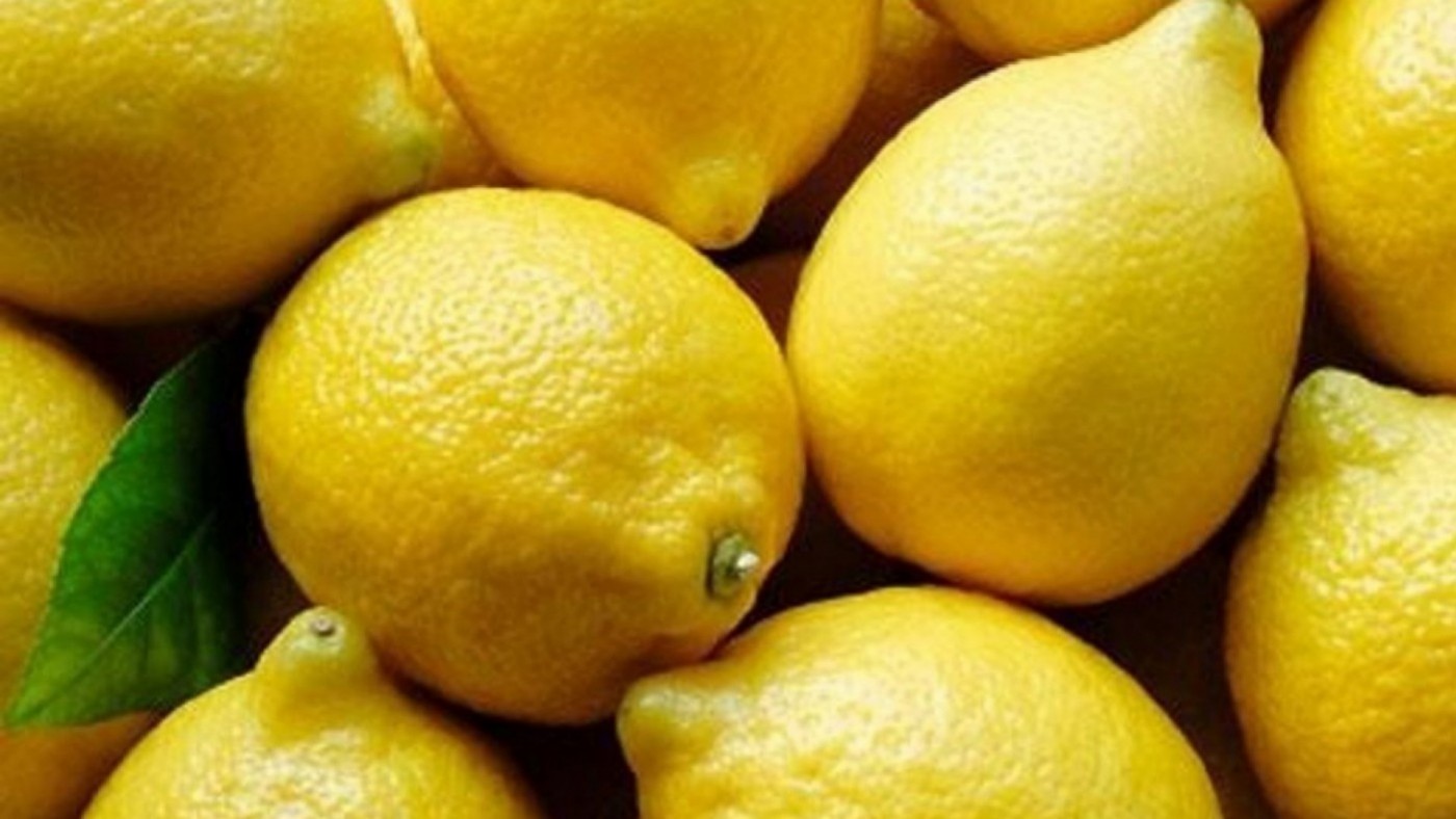 Una campaña 'agridulce' del limón deja precios elevados para los productores