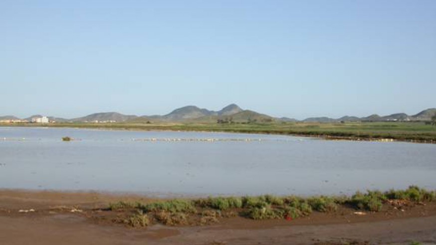 Saladar de Lo Poyo