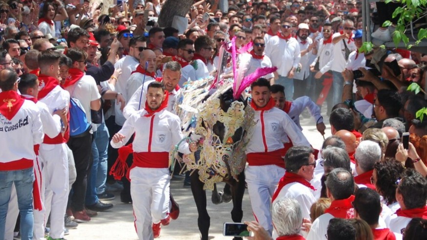 Los Caballos del Vino se preparan un año más para cautivar al visitante