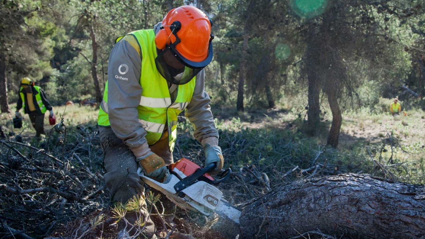 La Comunidad ha actuado en más de 11.400 hectáreas de monte para combatir los efectos de la sequía