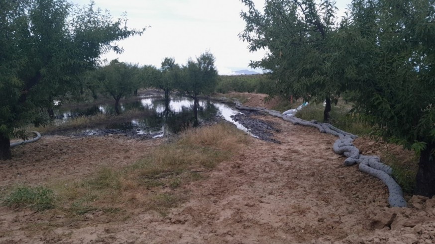 El tiempo corre: expertos urgen a retirar el suelo contaminado en Calasparra para evitar daños irreversibles