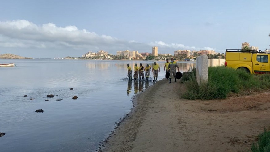 Brigadas municipales limpiando las playas del Mar Menor. FOTO: V.M.M