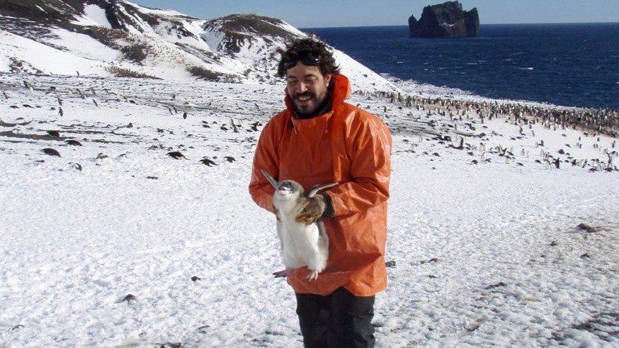 Veneno me dieras. Con Miguel Motas hablamos de la llegada del virus de la gripe aviar a colonias de pingüinos en la Antártida