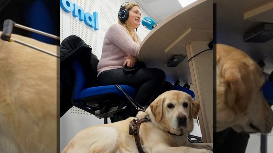 Nos visita Paula Pasqual de Riquelme, presidenta de la Asociación de Usuarios de Perros Guía, acompañada de su perra Lali