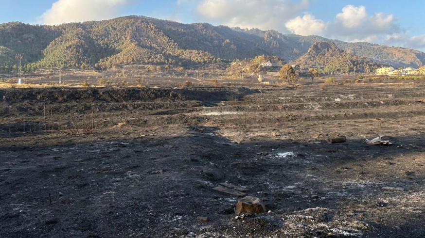 La investigación del incendio del Parque Regional El Valle-Carrascoy apunta a que fue provocado