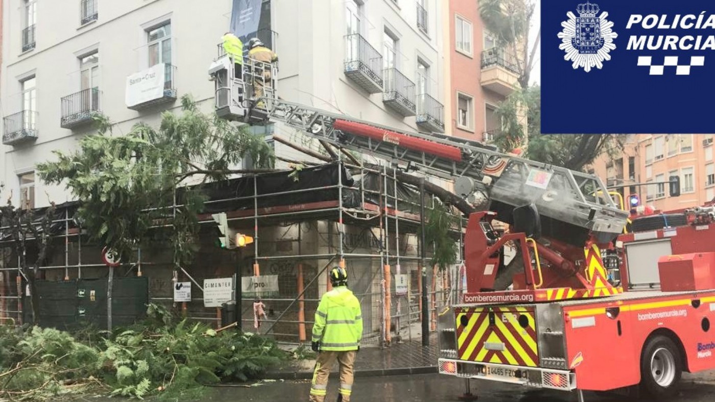 Los bomberos intervienen ante la caída de una gran rama.
