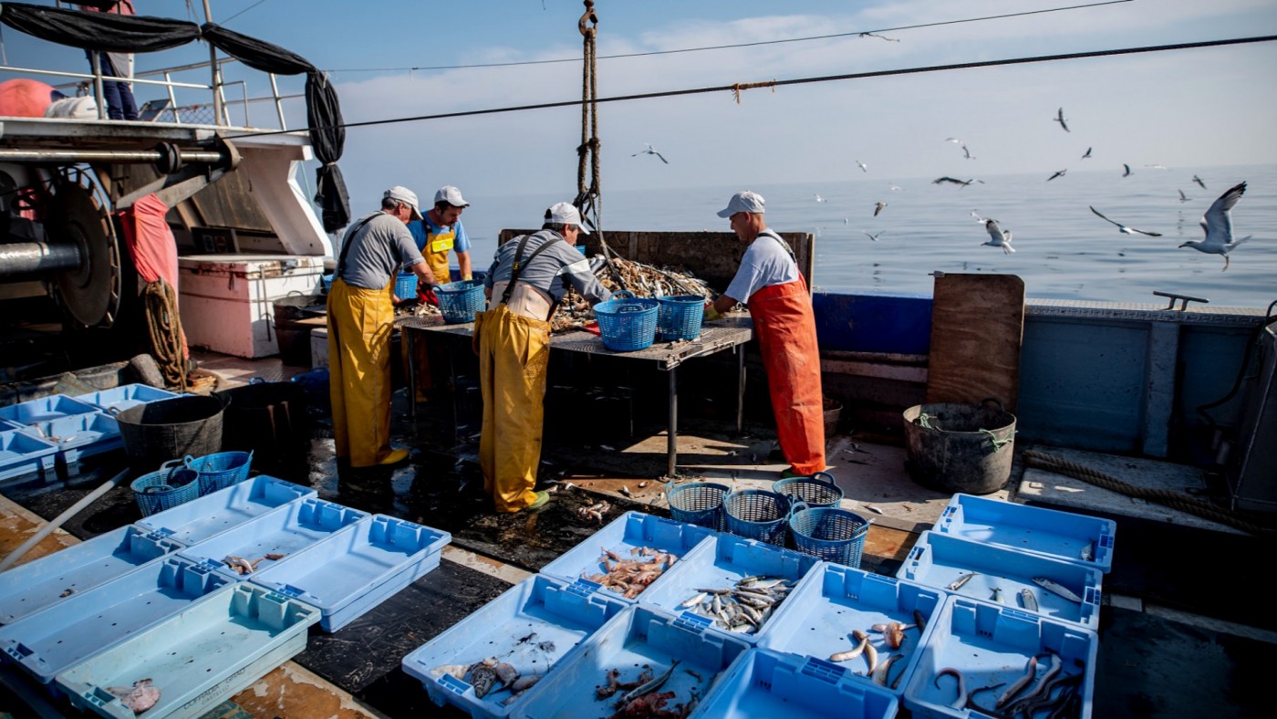 Los pescadores de la Región de Murcia sacaron 12.000 kilos de basura marina en 2021