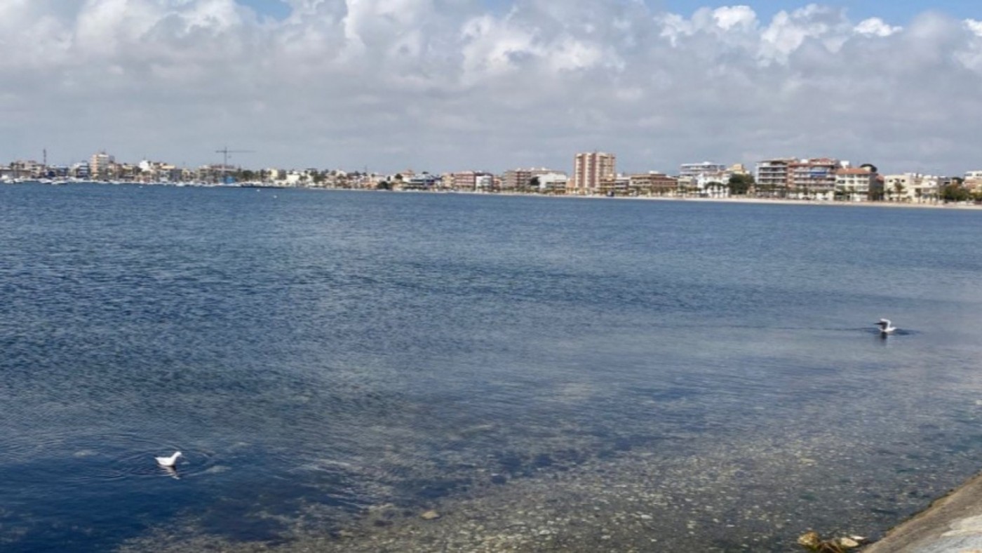 Ruzafa: "El problema del Mar Menor está actualmente en la subida del nivel freático"