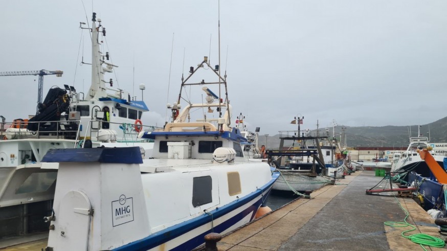 Las cofradías de pescadores de la Región pierden 500.000 euros por los temporales continuos