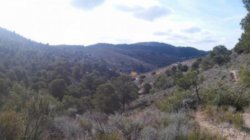 La finca Chuecos, en la sierra de Almenara, en manos de la Administración regional