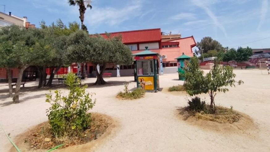 Un oasis en el colegio de San Pío X de Murcia