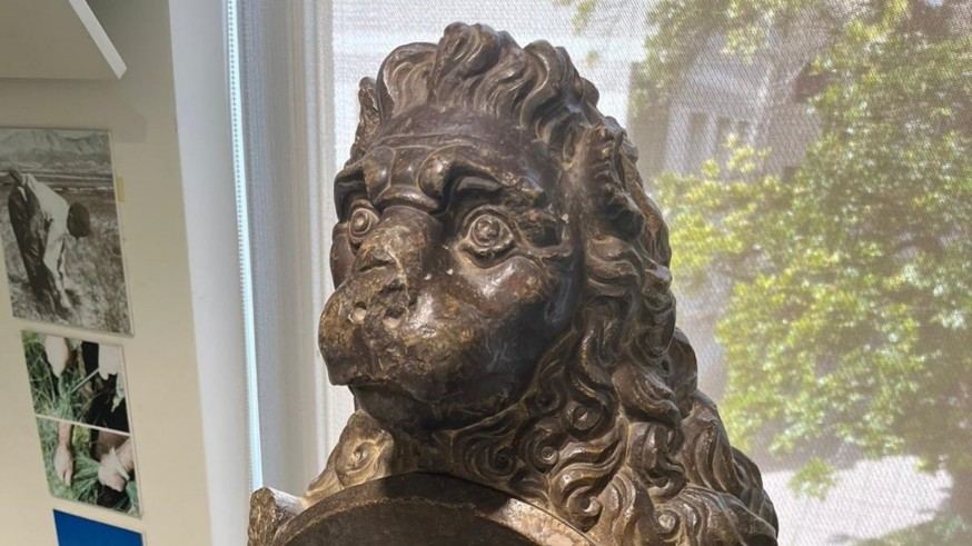 León del Contraste