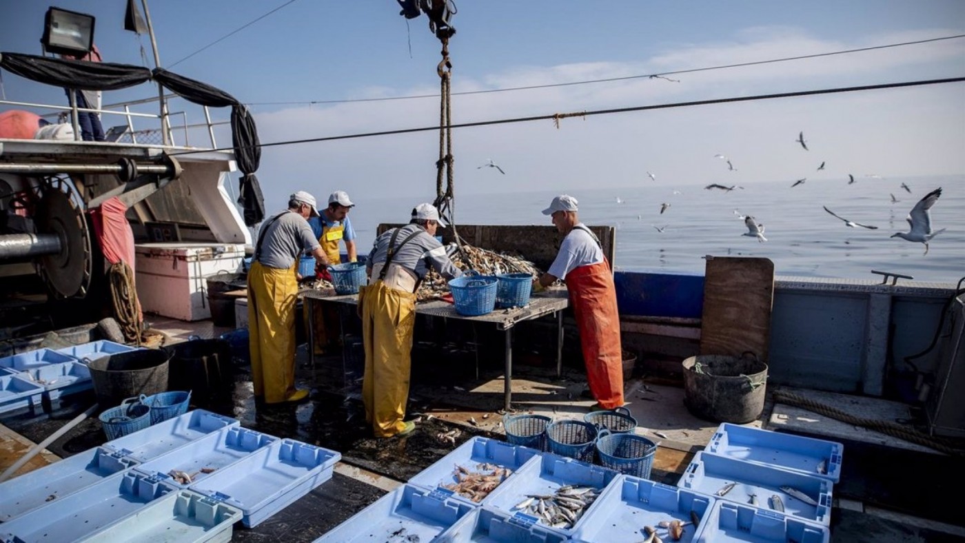Las cuatro cofradías de pescadores y sus lonjas recibirán 200.000 euros para su funcionamiento