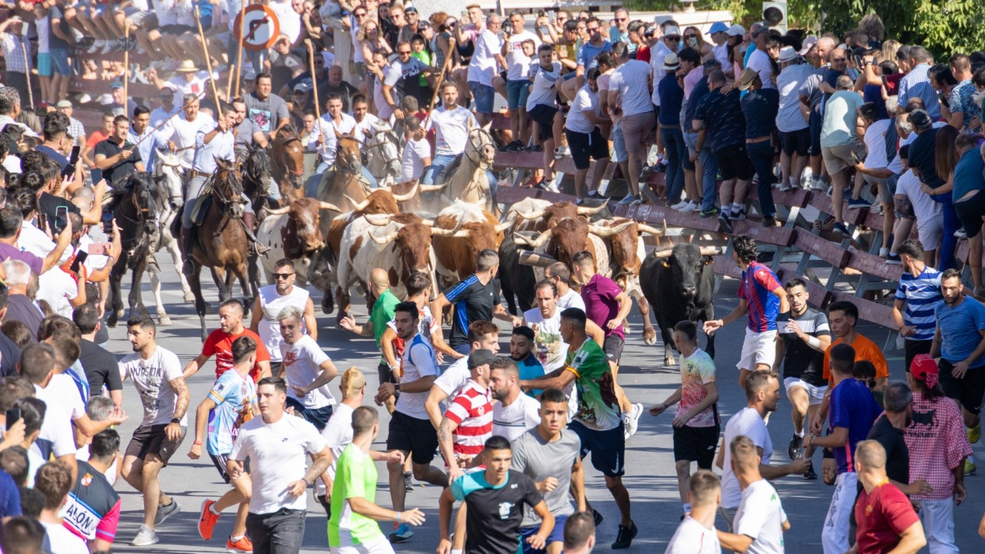 Los toros de Valle Lindo hieren a un corredor en las fiestas de Moratalla