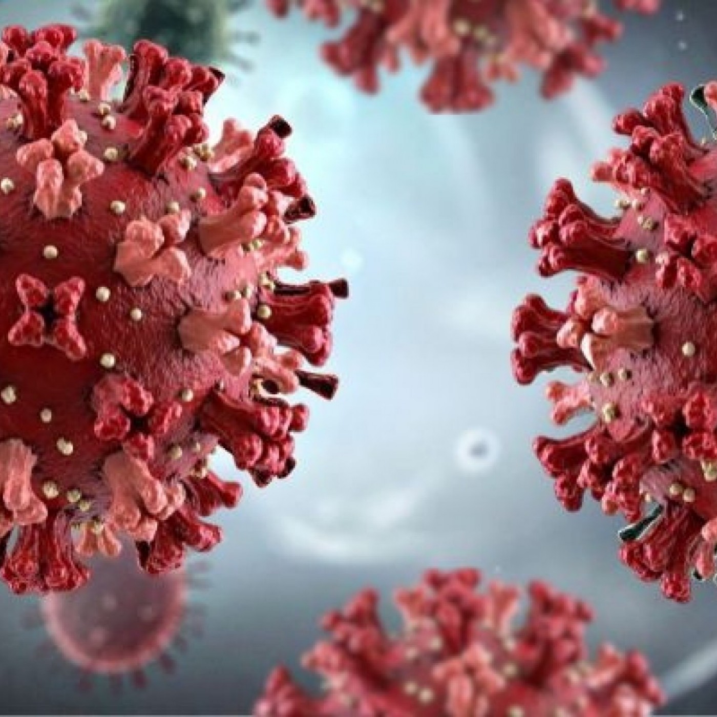 EL MIRADOR T06C174 Una cita con Sherlock Health. El reto de gestionar virus que circulan en la naturaleza (12/05/2026) episode artwork