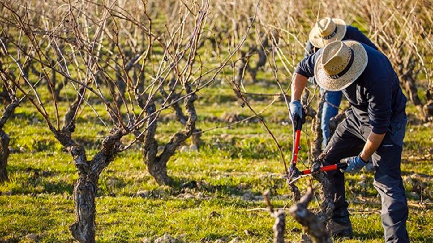Imagen de archivo de trabajadores en el campo