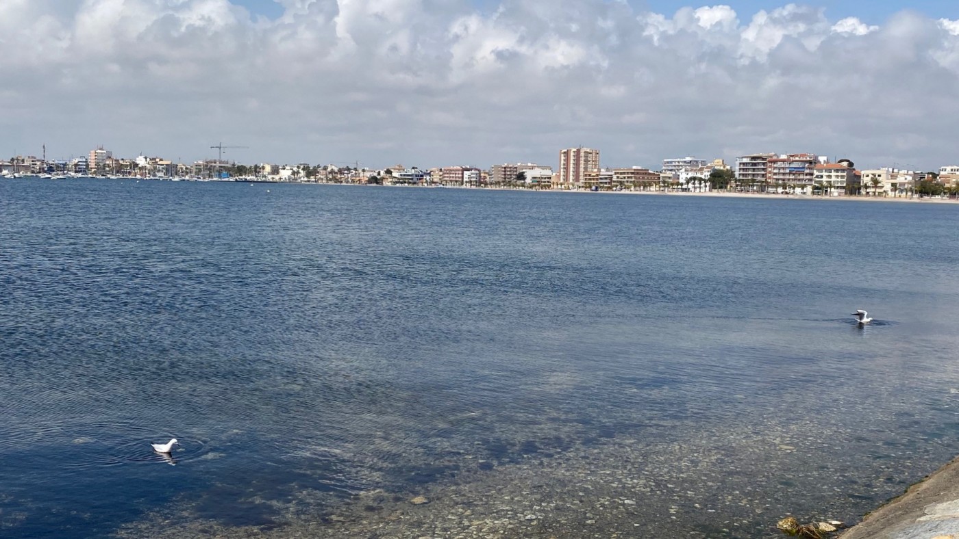 Imagen del Mar Menor en Lo Pagán