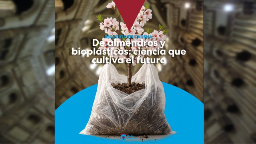 De almendros y bioplásticos: ciencia que cultiva el futuro