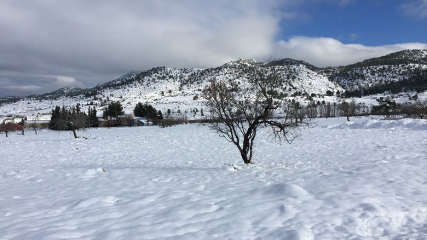 Nieve en Campo de San Juan