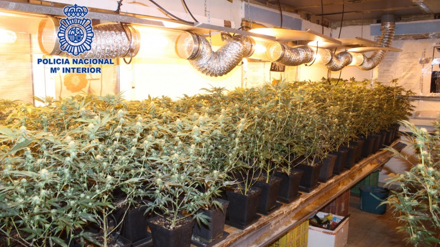 Una de las instalaciones de cultivo desmanteladas