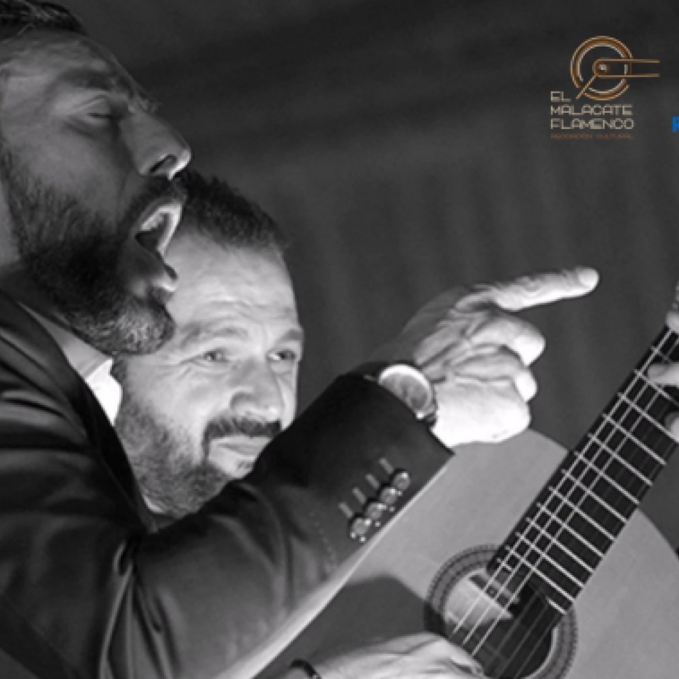 EL MALACATE FLAMENCO. Especial "Pedro el Granaino" episode artwork