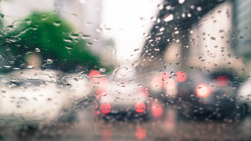 Arquitectura Naturalista con Juan Pedro Sanz. La lluvia