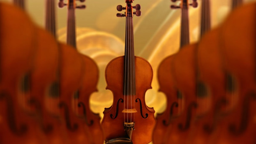 Violines
