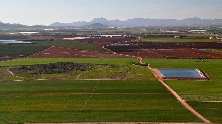 La Fundación Ingenio cifra en 3.500 millones las pérdidas en la agricultura del Campo de Cartagena