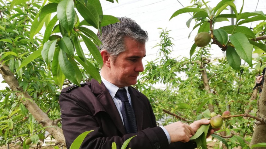 Del Amor ha visitado una parcela de cultivos ecológicos ultra tempranos en San Pedro 