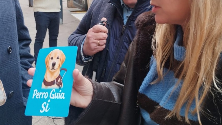 Murcia refuerza la accesibilidad en taxis para usuarios de perros guía