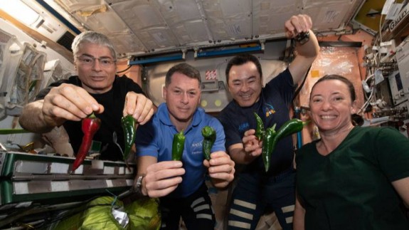 Astronautas de la NASA muestran los chiles. NASA