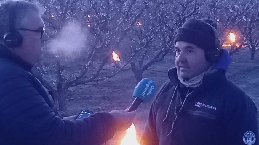 Salvar la nectarina temprana: parafina contra el frío en Cieza