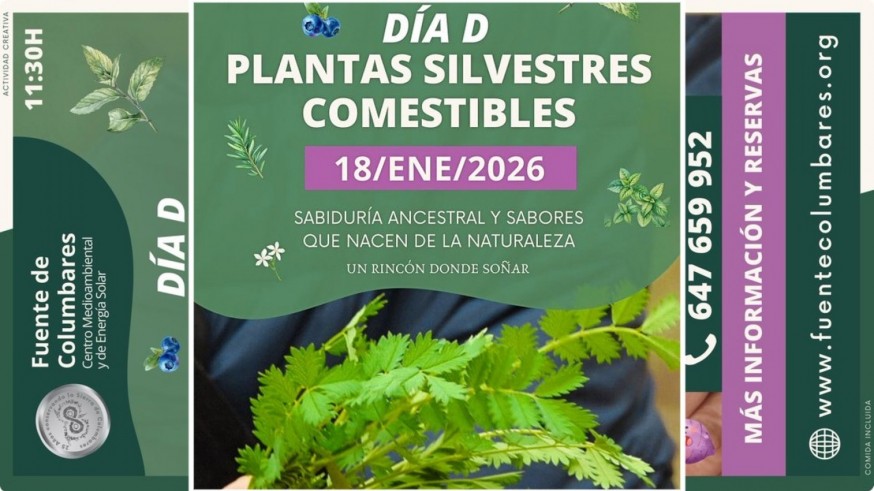 Taller para conocer las plantas silvestres comestibles
