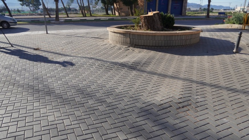 El Ayuntamiento de Jumilla detecta problemas en su arbolado urbano