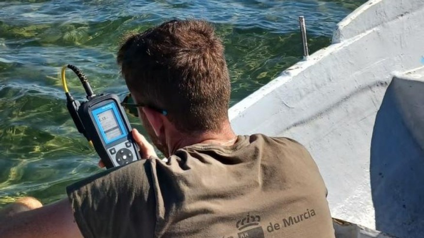 Baja el nivel de oxígeno en el agua de Las Lomas del Mar Menor
