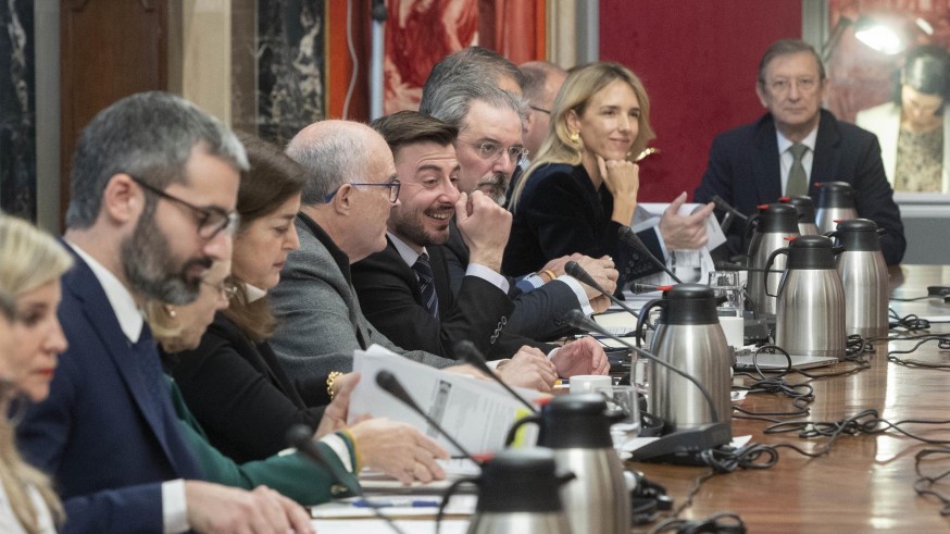 La Comisión de Venecia no ve conflicto de separación de poderes con la Amnistía pero recomienda una mayoría más amplia