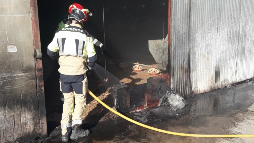 Bomberos salvan una nave con crías de pollo de un incendio declarado en una explotación avícola de La Aljorra