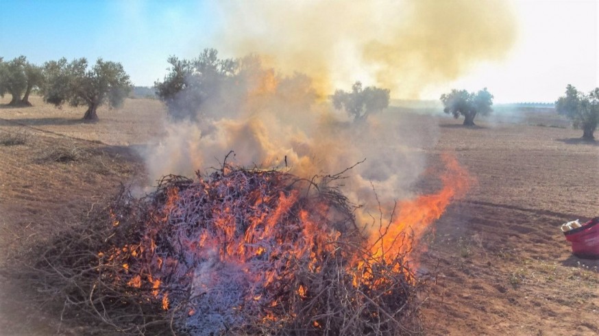Una nueva regulación aborda la eliminación excepcional de restos vegetales mediante quema controlada