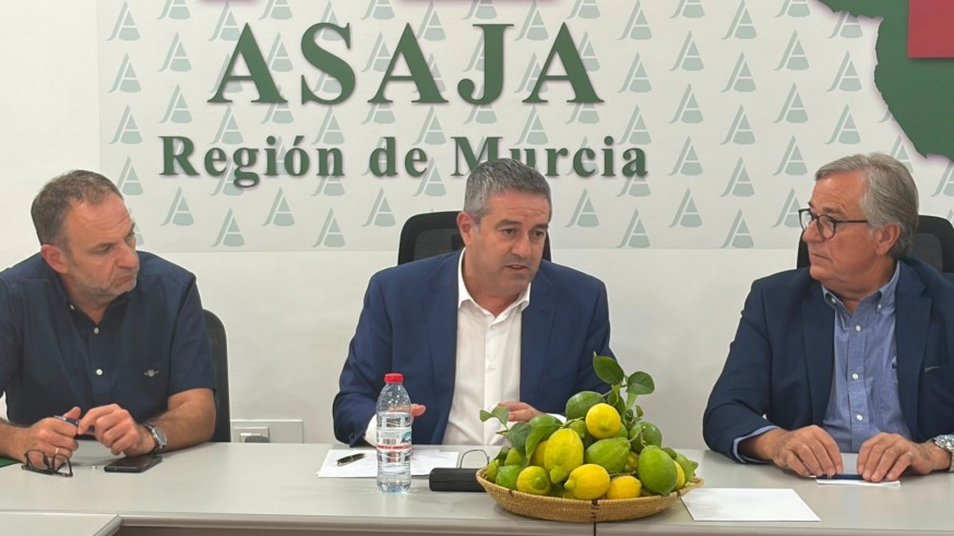 Agua, relevo generacional y PAC: las prioridades del campo murciano en la nueva etapa de Agricultura