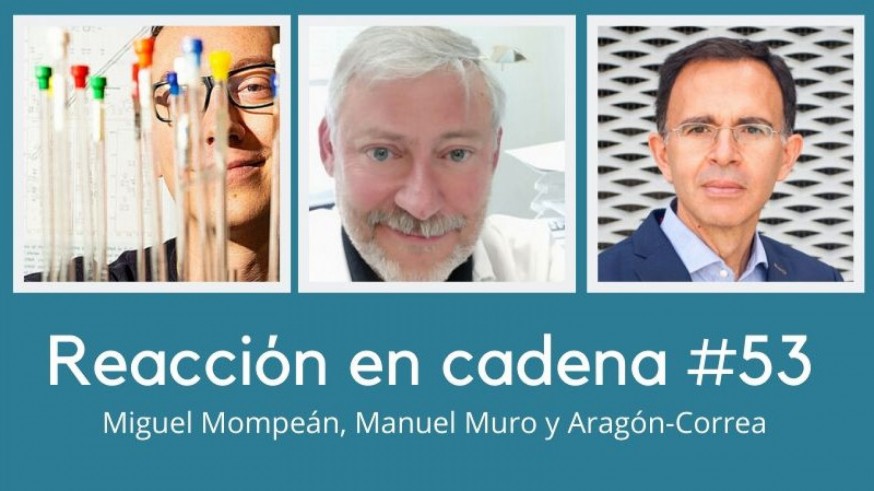 Miguel Mompeán, Manuel Muro y Aragón-Correa
