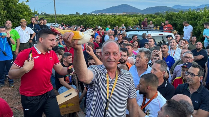 "Don José" es el mejor palomo deportivo de España