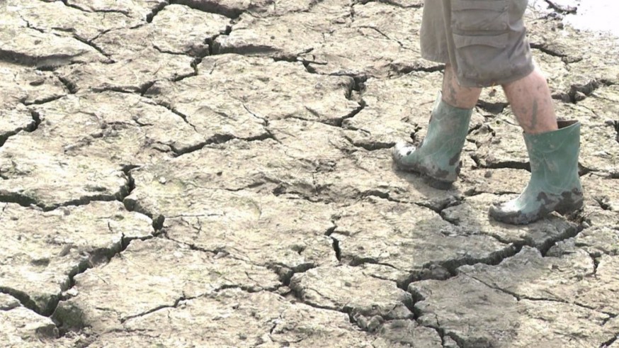 El Gobierno sigue "muy de cerca" la evolución de la sequía y discutirá medidas en Bruselas